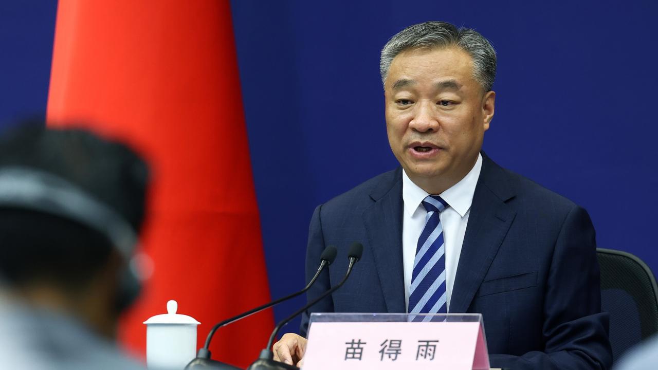 苗得雨外交部副部长，引领外交新风尚，展现大国担当