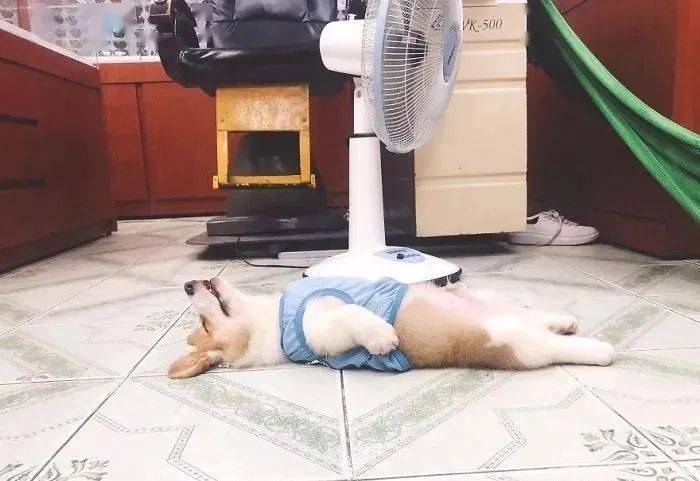 高温下的特殊选择，学生在楼道里的午休时光