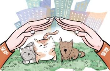 热点生活 第143页