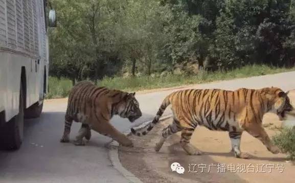 热点生活 第120页