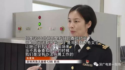 女子在埃及被酒店刁难硬气回应，勇气与智慧的较量