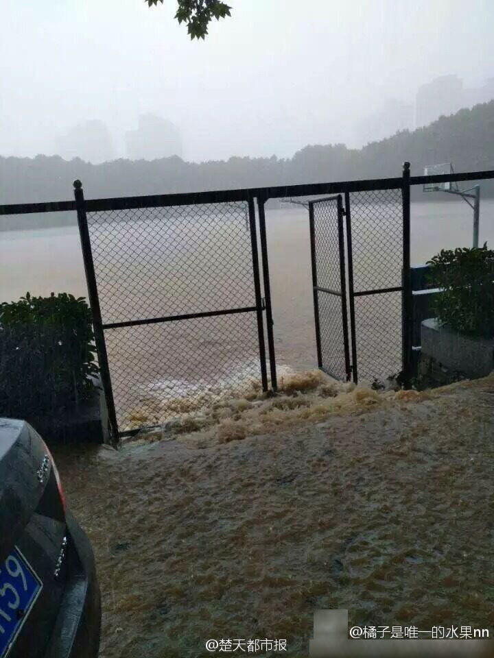 武汉大学校门被淹事件，反思与启示