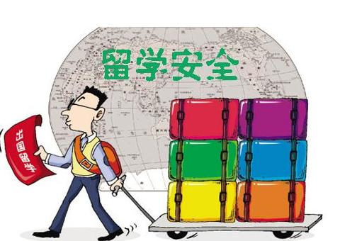留学生不安全现象，挑战与应对策略
