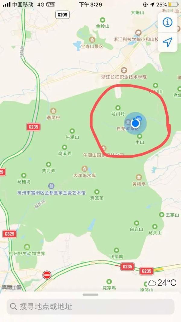 杭州外逃豹子找到了吗？动物保护与社会责任的反思