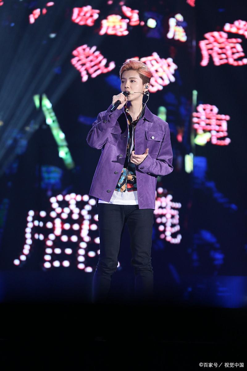 鹿晗演唱会内场票价，狂热与价值的交织