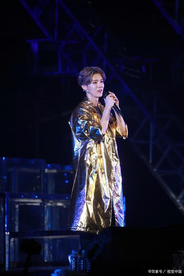 鹿晗演唱会内场票价，狂热与价值的交织
