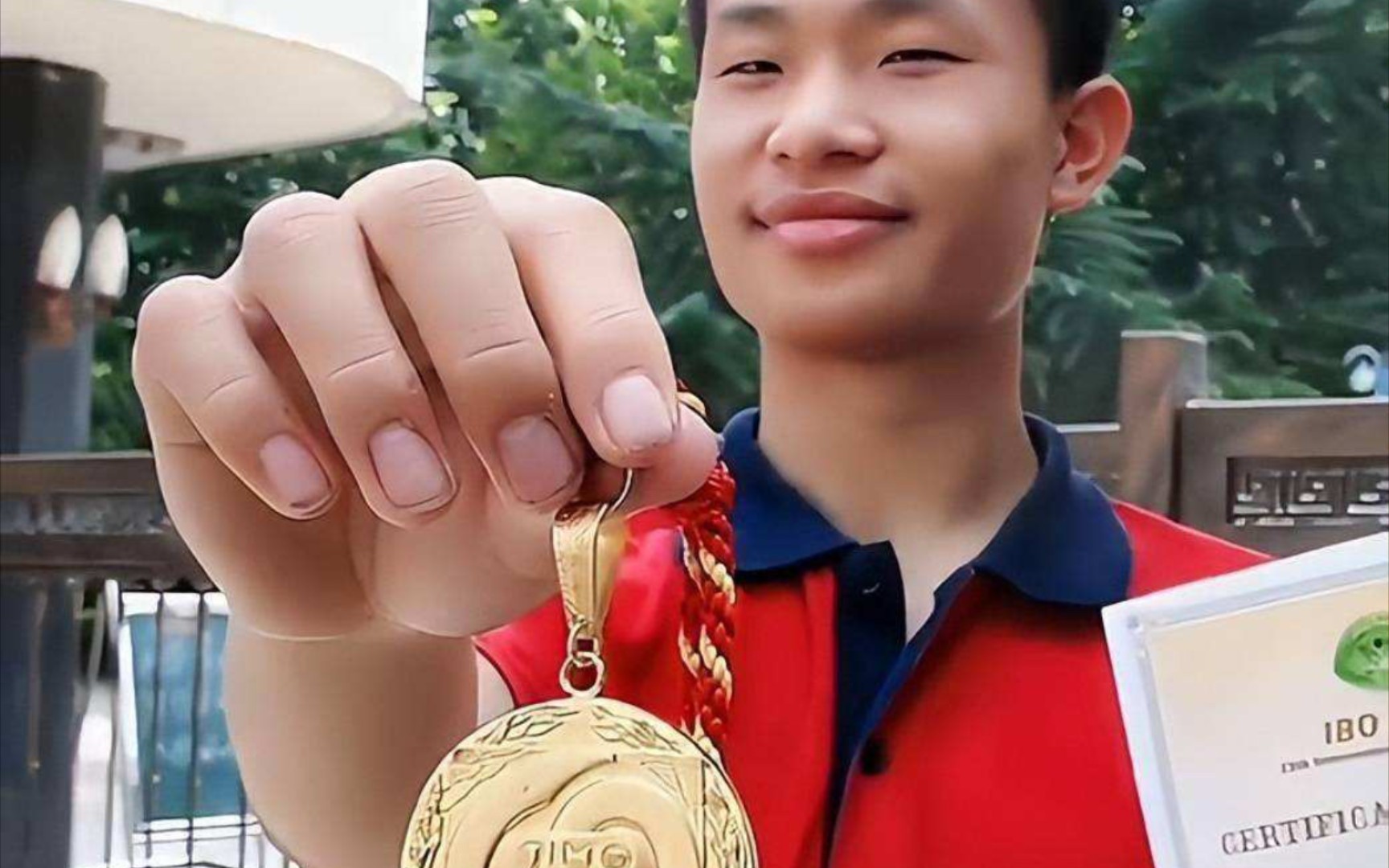 韦东奕传奇，数学领域的璀璨明星